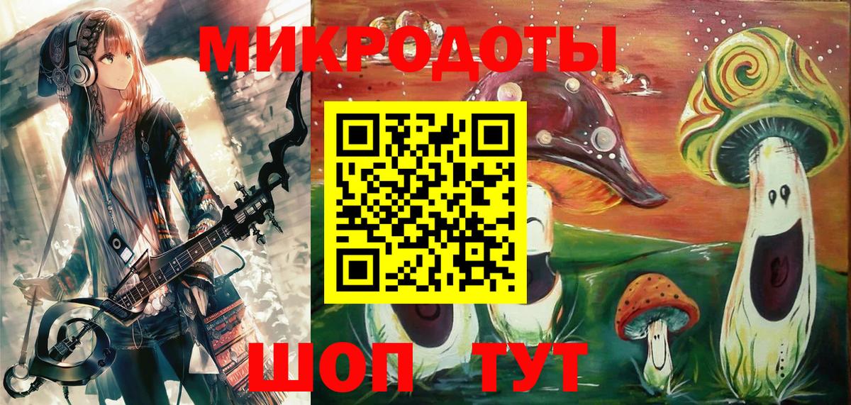 Псилоцибиновые грибы Psilocybe  Галлюциногенные грибы Psilocybe  Костомукша 