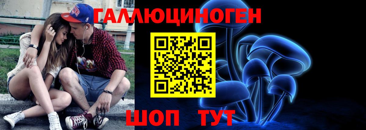 Костомукша  Галлюциногенные грибы Cubensis  Вход с VPN 