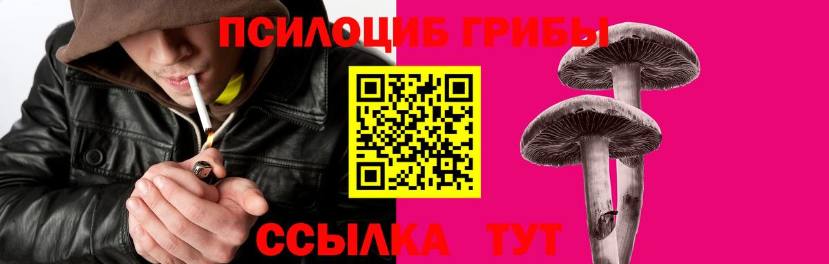 Псилоцибиновые грибы MAGIC MUSHROOMS Костомукша